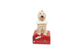 Goldendoodle with Bone Ornament