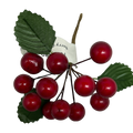 Red Grape Berry Spray 4  Inch