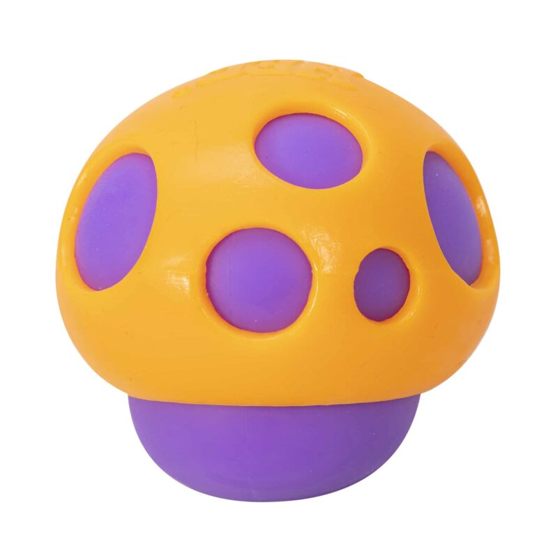 Groovy Shrooms NeeDoh -