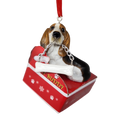Basset Hound with Bone Ornament