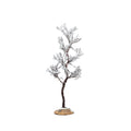 Morning Dew Tree - 6.5 Inch