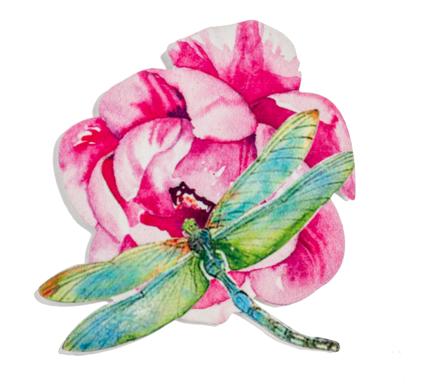 Dragonfly Screen Door Savers-