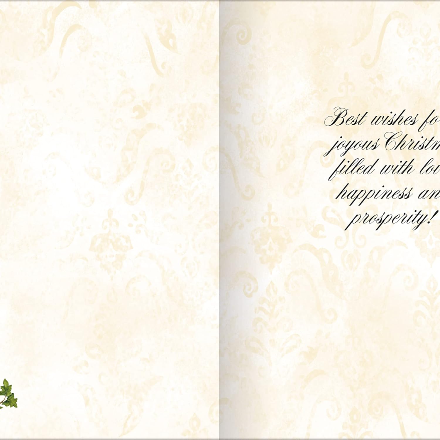Season To Believe  Boxed Christmas Cards