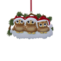 Owl Family of 3 Ornament For Personalization