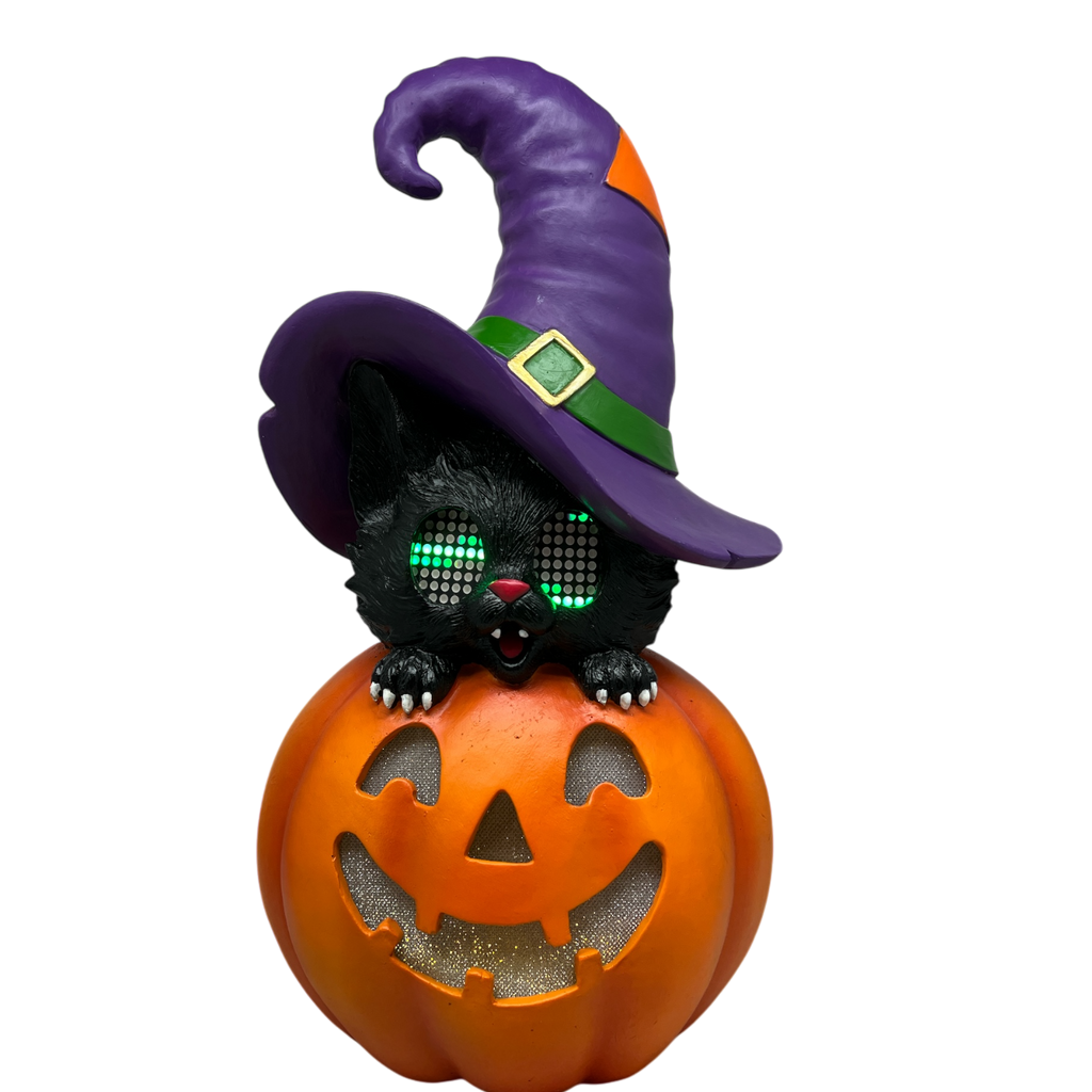 Cat On Pumpkin  With Moving Digital Eyes