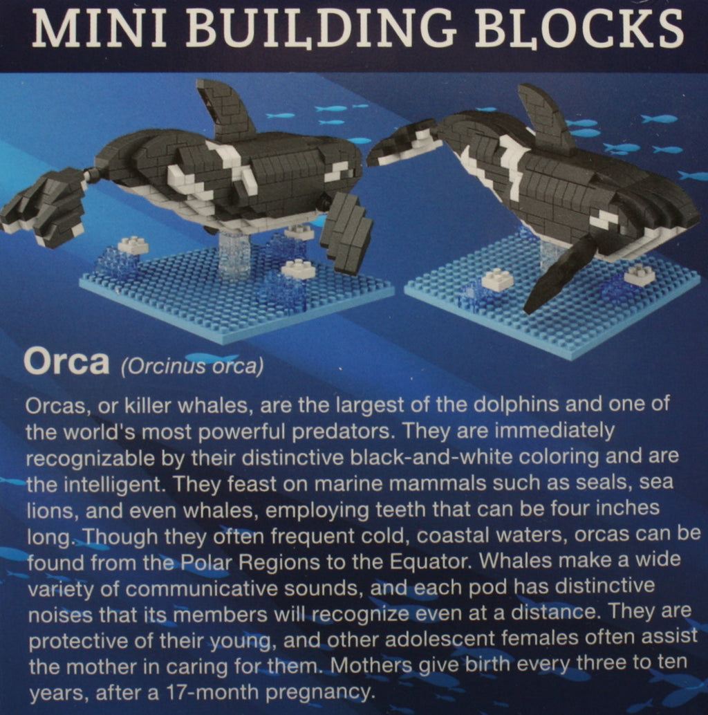 Mini Building Blocks - Orca