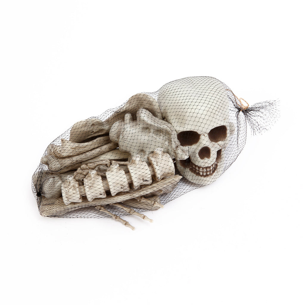 Bag of Skeleton Bones - 18 Piece