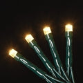 USB powered 50 LED (12.8 foot) Green Wire Multifunction Lights with Timer - Warm White