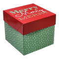 Cube Giftware Gift Box - set of 2 - Dots on Green
