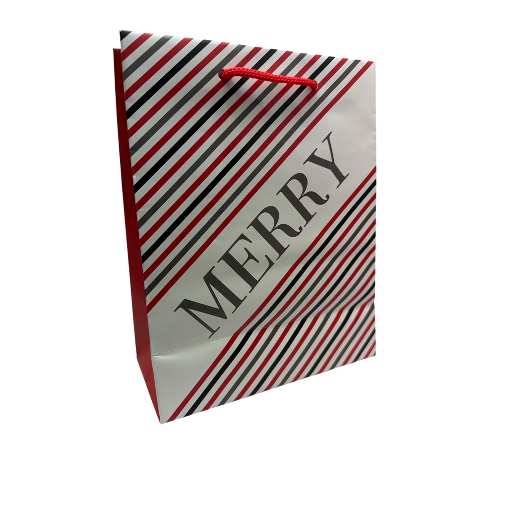 Medium Gift Bag With Tissue - Merry