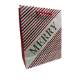 Medium Gift Bag With Tissue - Merry