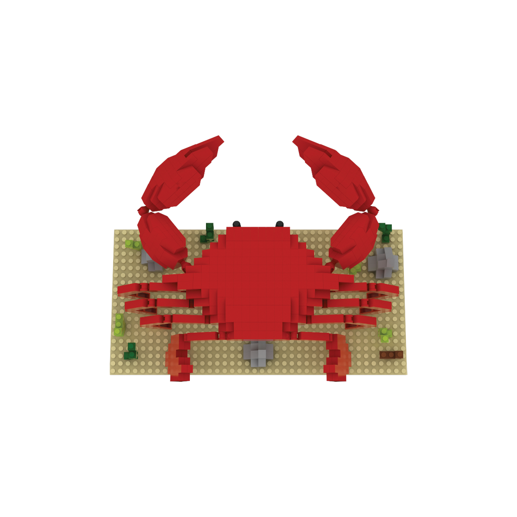 Mini Building Blocks - Crab