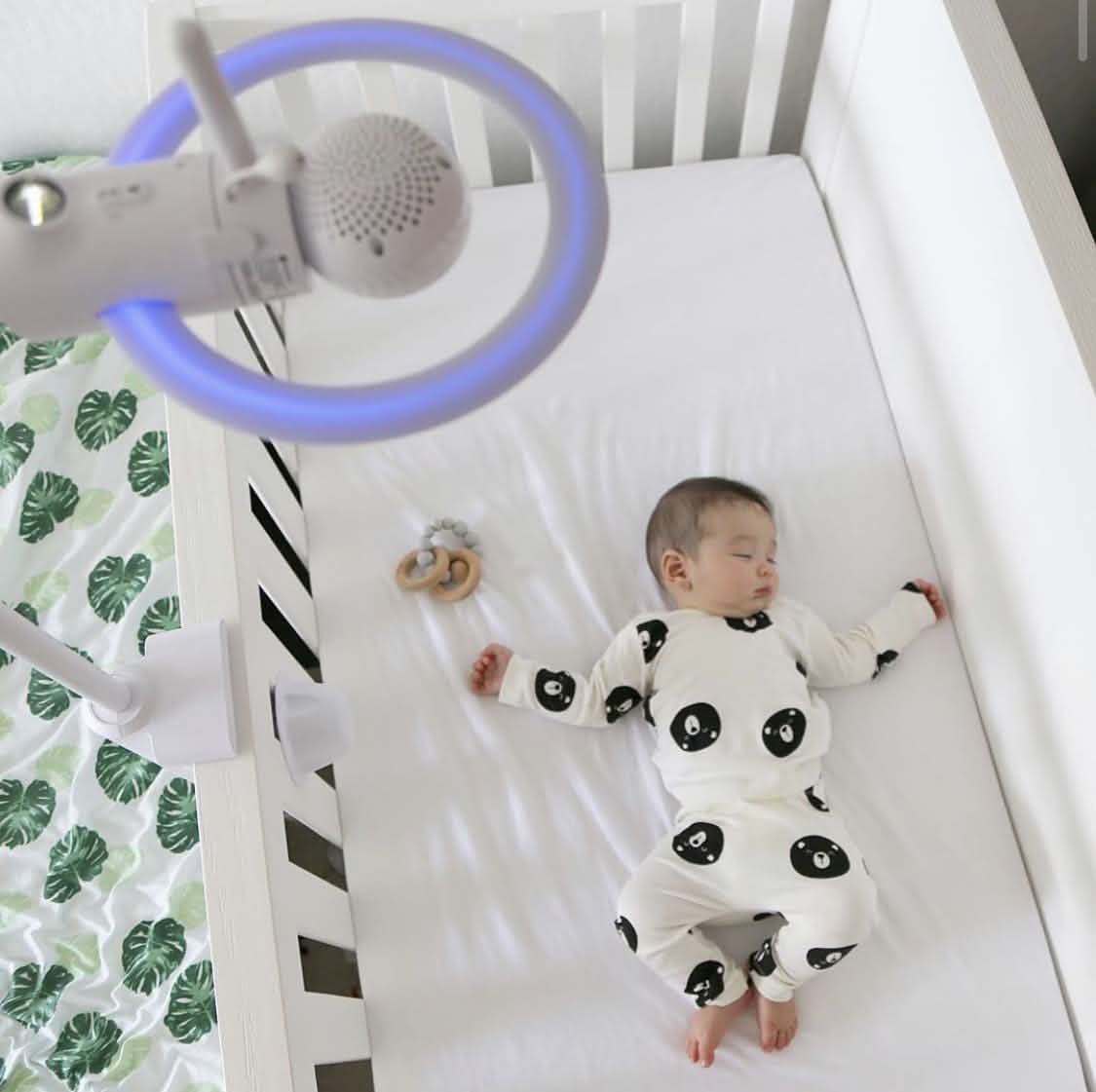 Motorola Halo+ Video Baby Monitor - Infant Wi-Fi Camera with Overhead Crib Mount - 4.3-Inch Color Screen with Infrared Night Vision and Intercom (Refurbished)