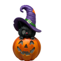 Cat On Pumpkin  With Moving Digital Eyes
