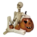 Light-up Skeleton Figurine -