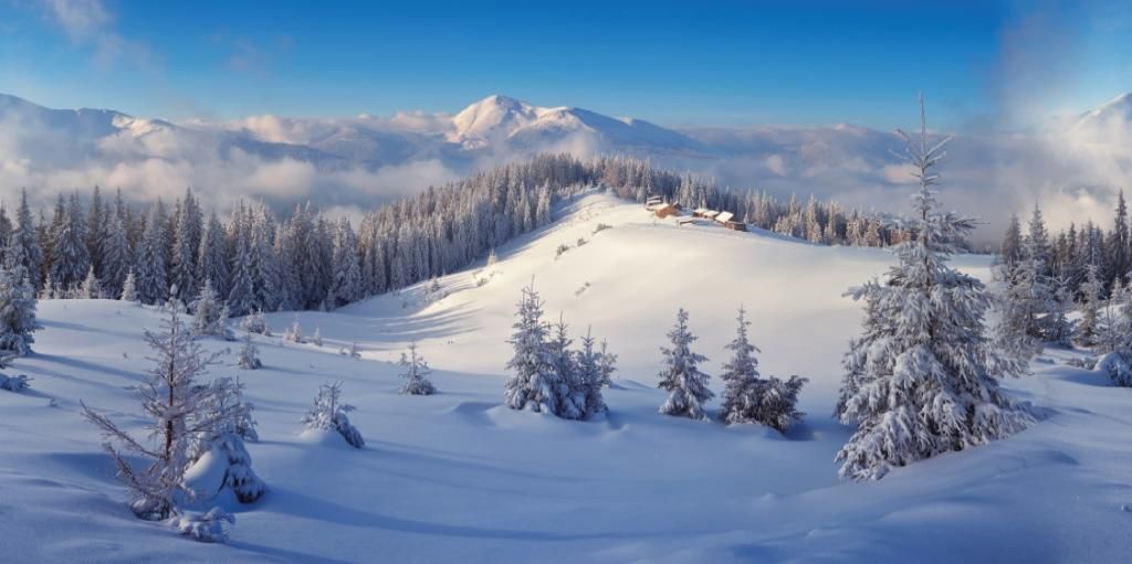 My Village Background Cloth - Winter Forest - 59x30 inch