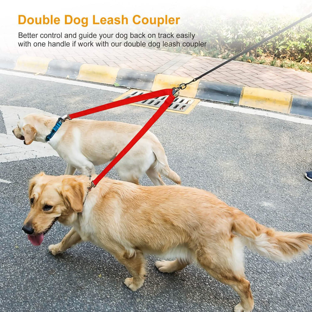 No-Tangle Dual Dogs Leash