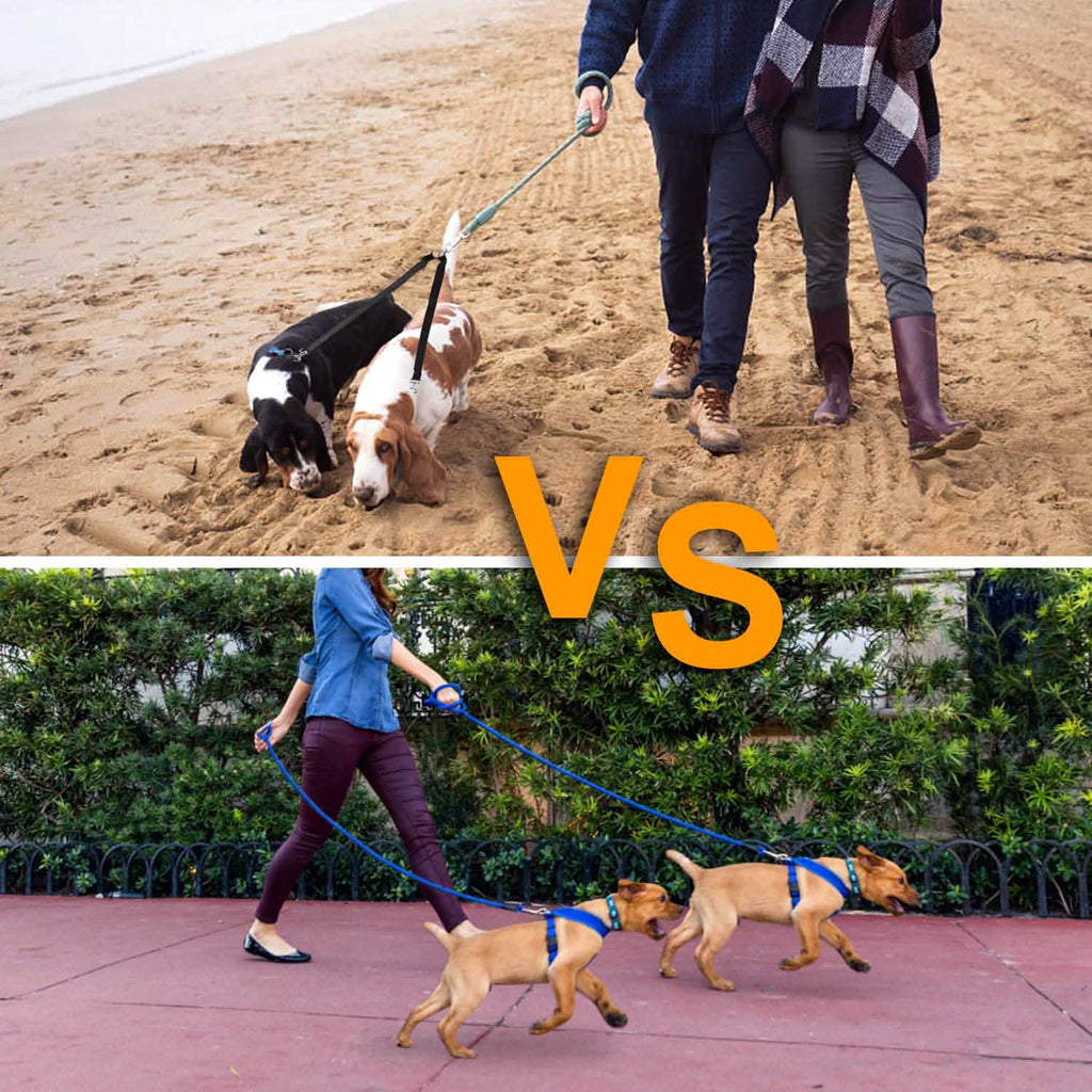 No-Tangle Dual Dogs Leash
