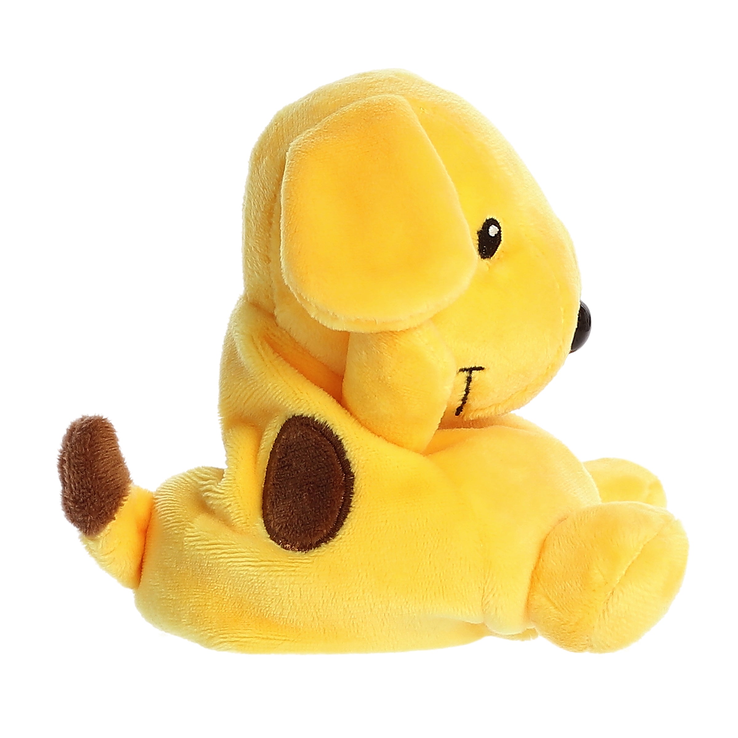 Palm Pal - Fun With Spot Dog - 5 Inch