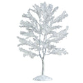 Snowy Black Walnut Tree