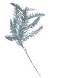 Silver Pine Branch - 22"