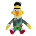 Sesame Street Beanbag - Bert
