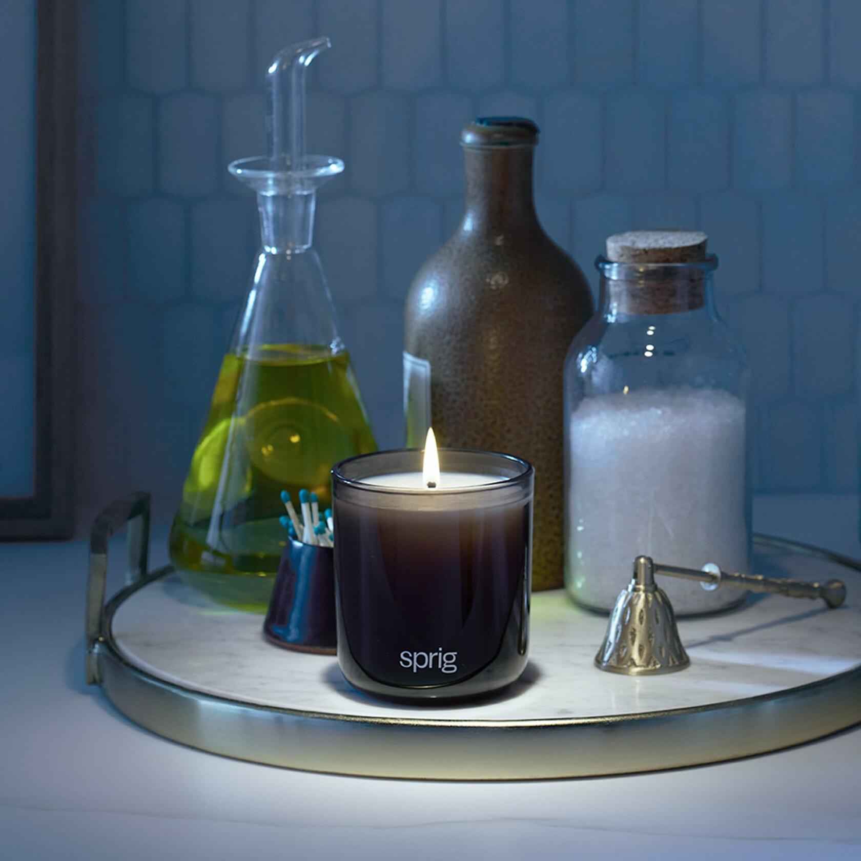 Sprig by Kohler Breathe Aromatherapy Candle with Eucalyptus and Mint -8 oz
