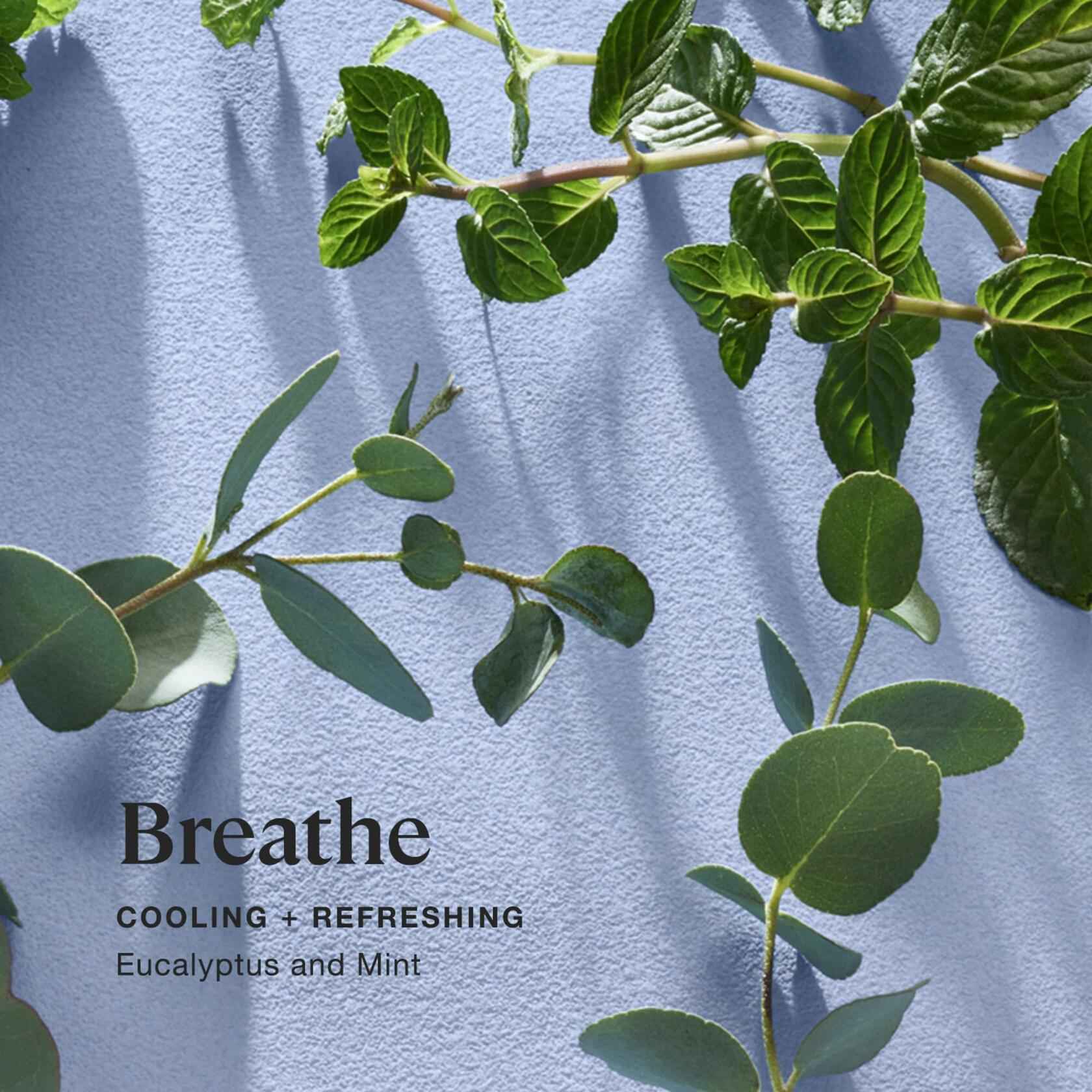 Sprig by Kohler Breathe Aromatherapy Candle with Eucalyptus and Mint -8 oz