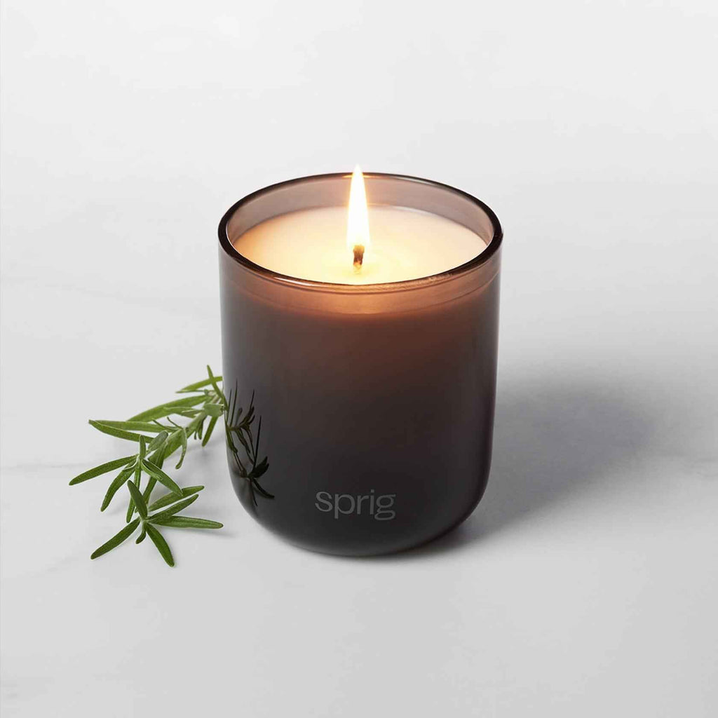 Sprig by Kohler Shield Aromatherapy Candle with Tea Tree and Rosemary - 8 oz