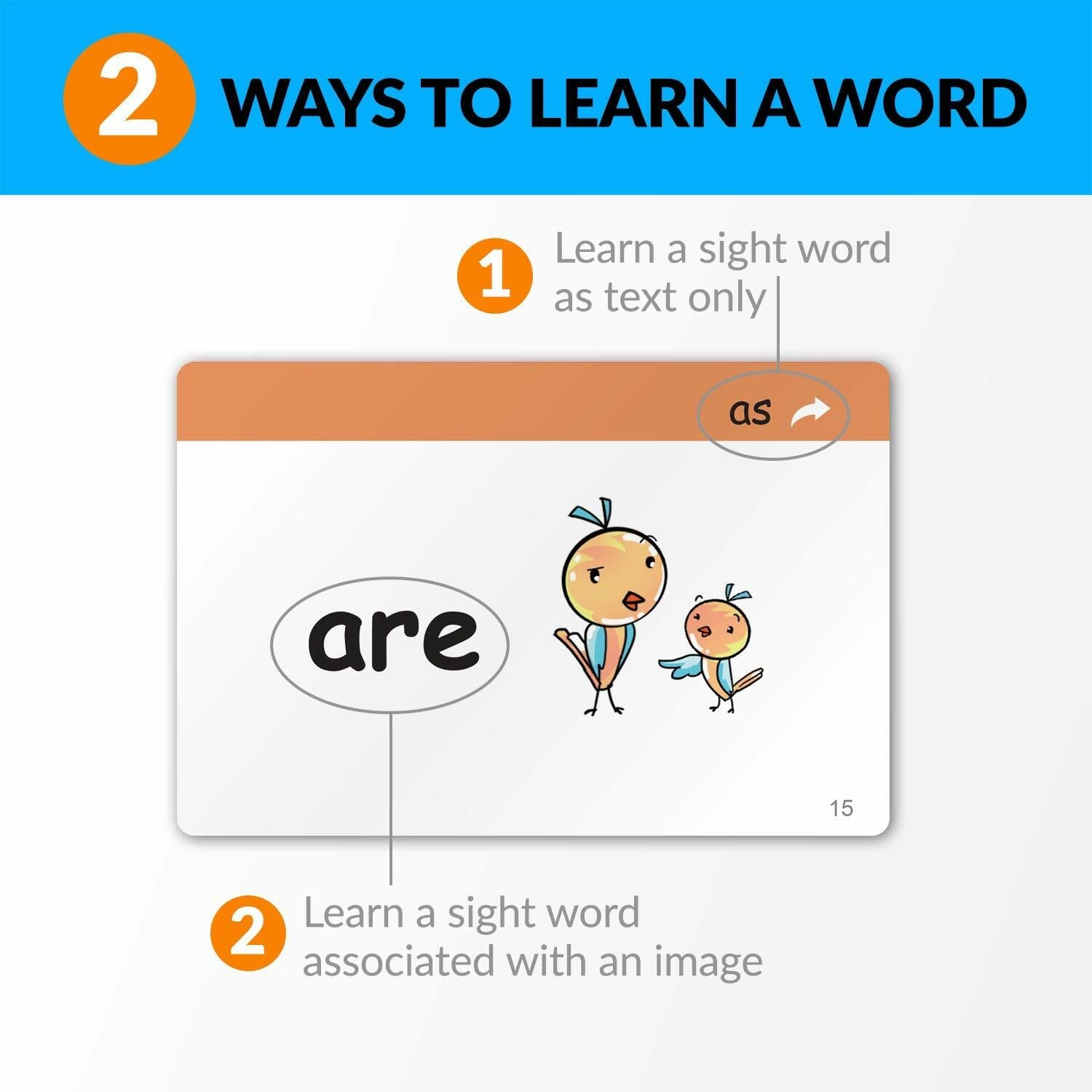 Little Champion 1,000 Sight Word Flashcards PreK-3rd Grade 10-Pack Set