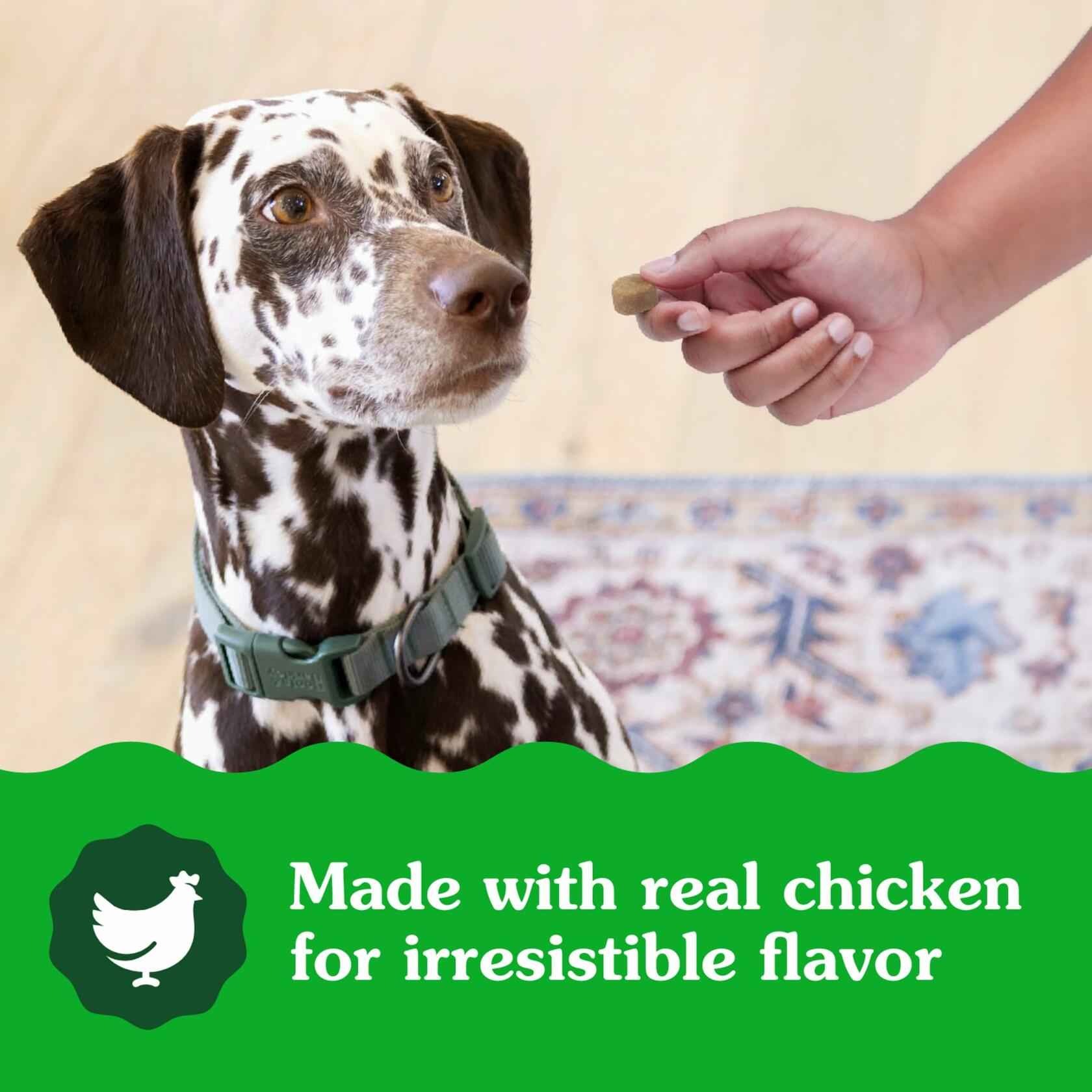 BestBy01/25 Greenies Digestive Health Probiotics DogTreats Chicken 7.8oz 40ct