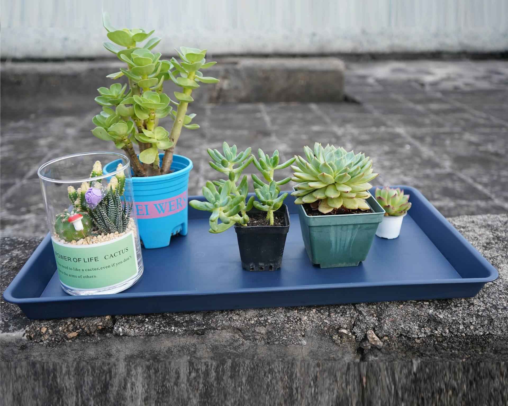 VUWEZ Plant Saucer Tray 11x9in, Heavy Sturdy Plastic Drainage Tray, 1 Pack