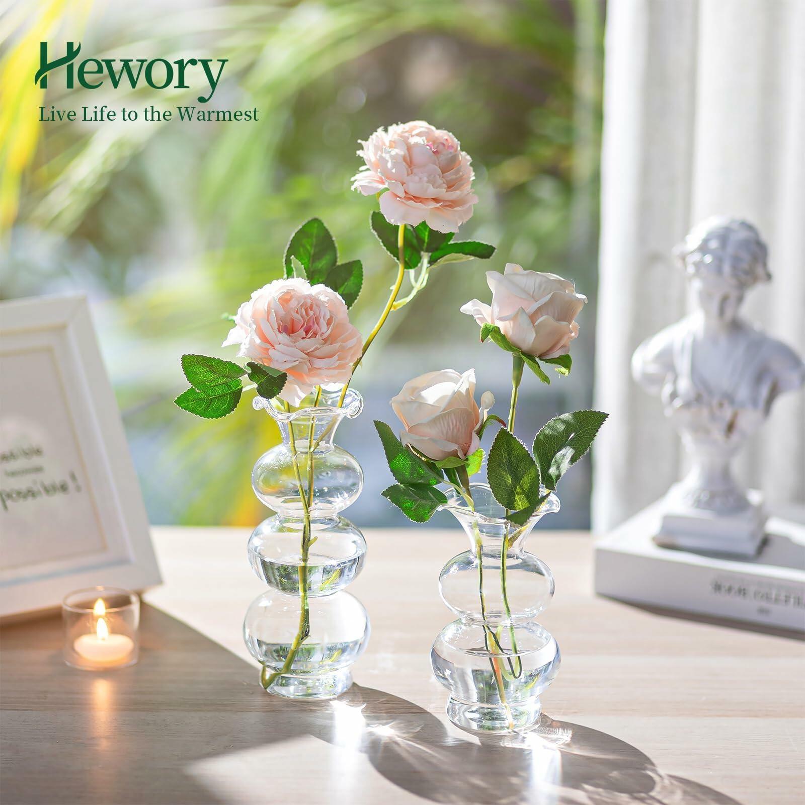 Hewory Glass Bubble Bud Vase Small Clear Glass Flower Vase for Single Stem