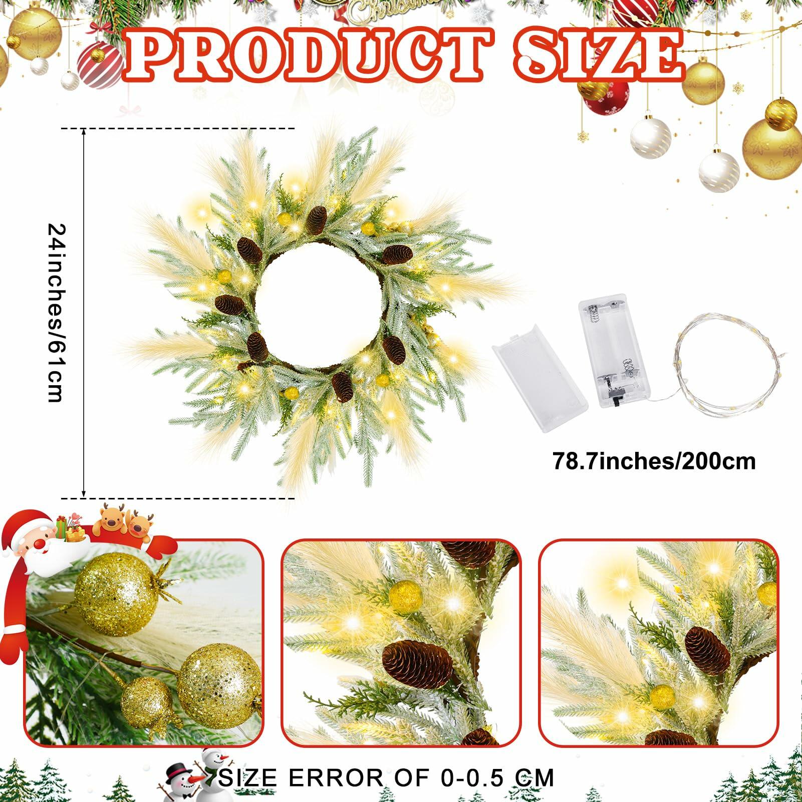 Chuangdi 24" Lighted Norfolk Pine Pampas Christmas Wreath with Pine Cones
