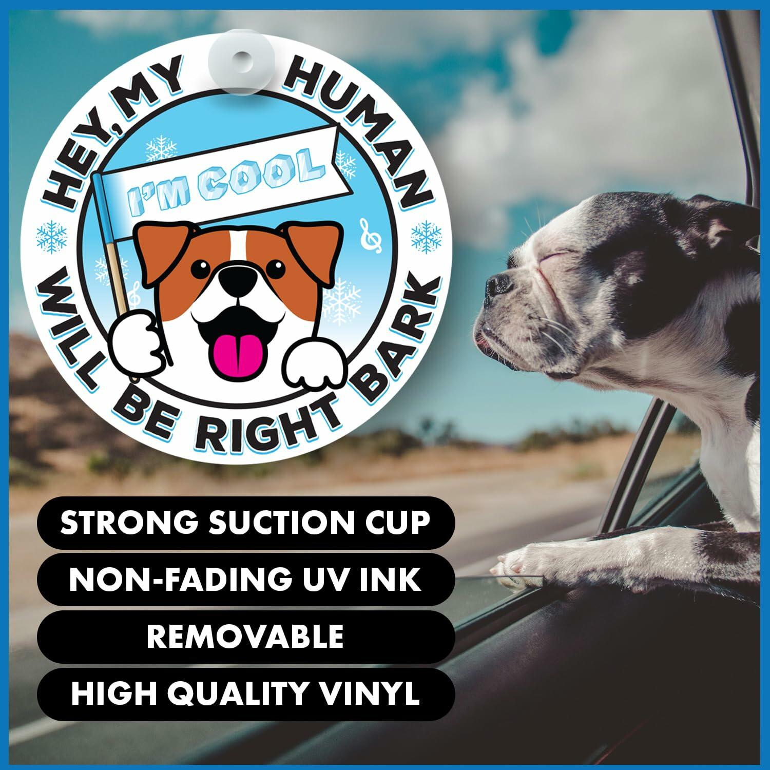 Generic I'M COOL Car Sign Pet Safety Alert Vinyl White/Blue Auto Accessory