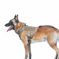 ICEFANG GN1 Reflective Tactical Dog Harness MOLLE Brown Pack of 1 Size XL