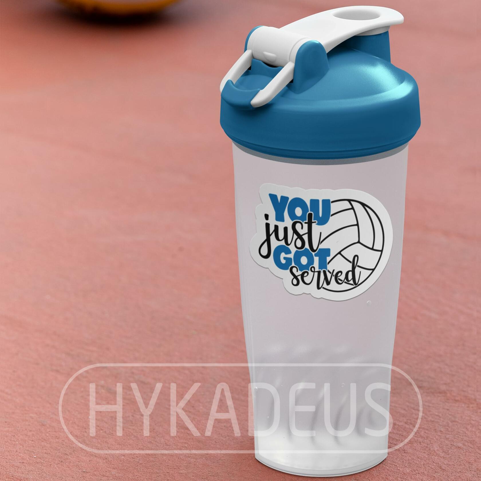 HYKADEUS You Just Got Served Volleyball Sticker 3x2.2in 3Pcs Waterproof Vinyl