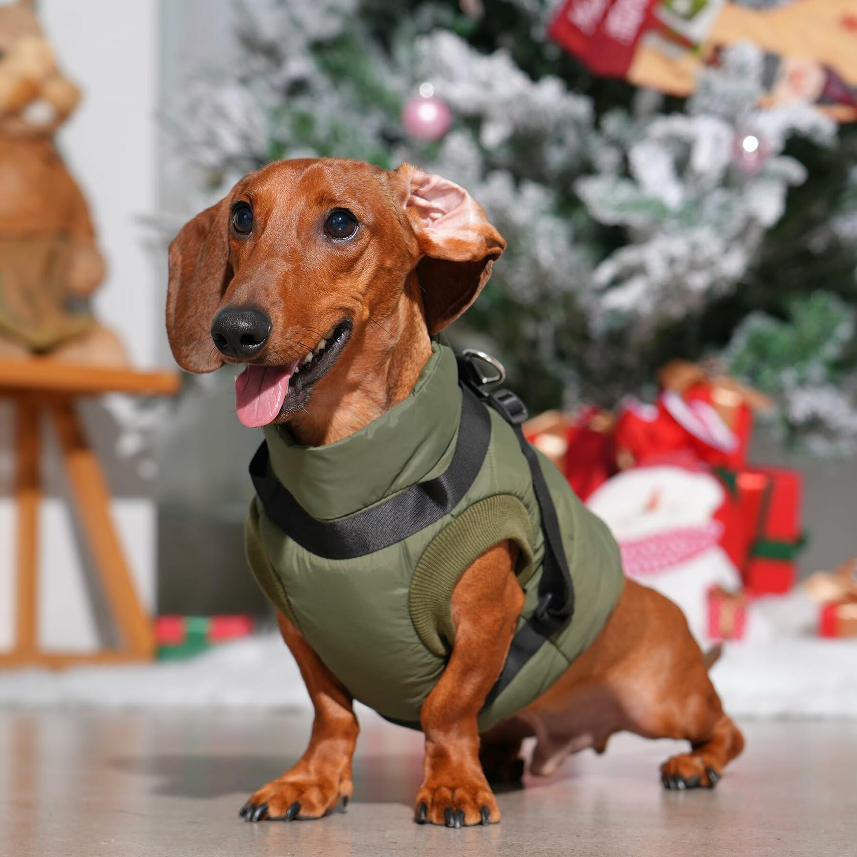 JoyDaog Dog Jacket Harness Fleece Lined Warm Winter Vest LightOrange Size M