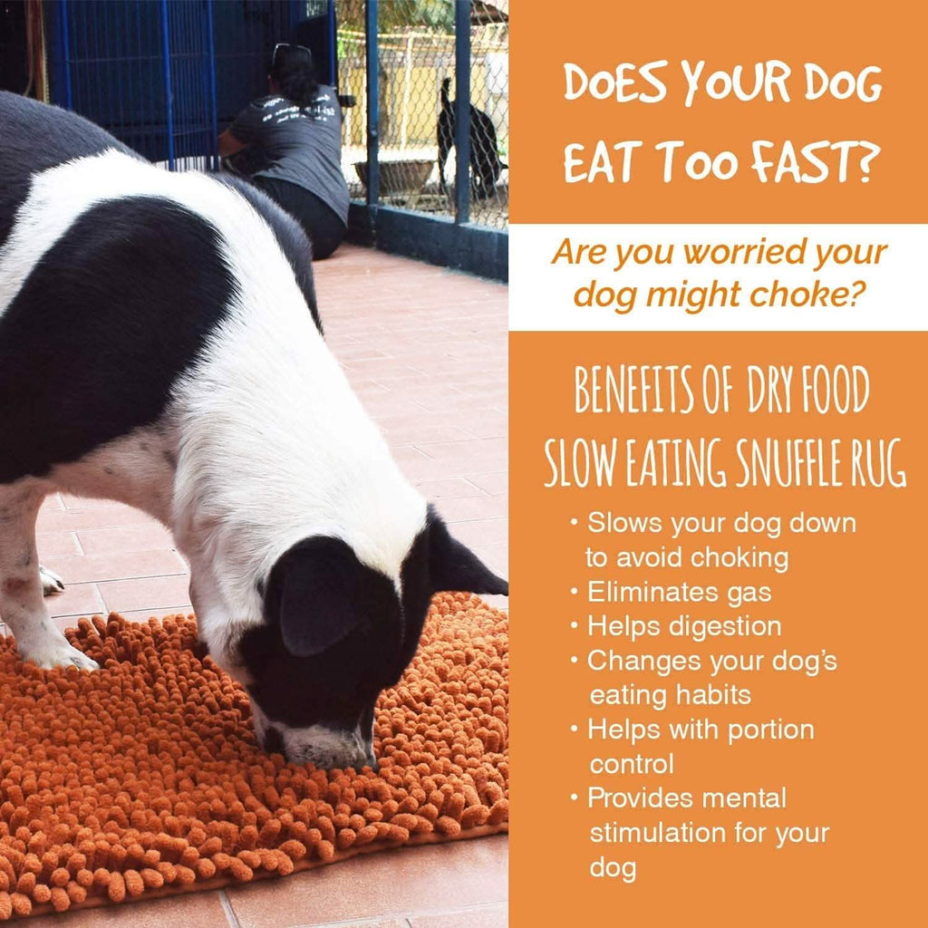 Our K9 Training Made Easy Snuffle Mat