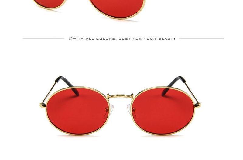 Oval Sunglasses Vintage Retro Sunglasses Designer Glasses for Women Men Oval Shape Sunglasses For Women/Men  Popular Luxury Round Shape  Sunglasses
