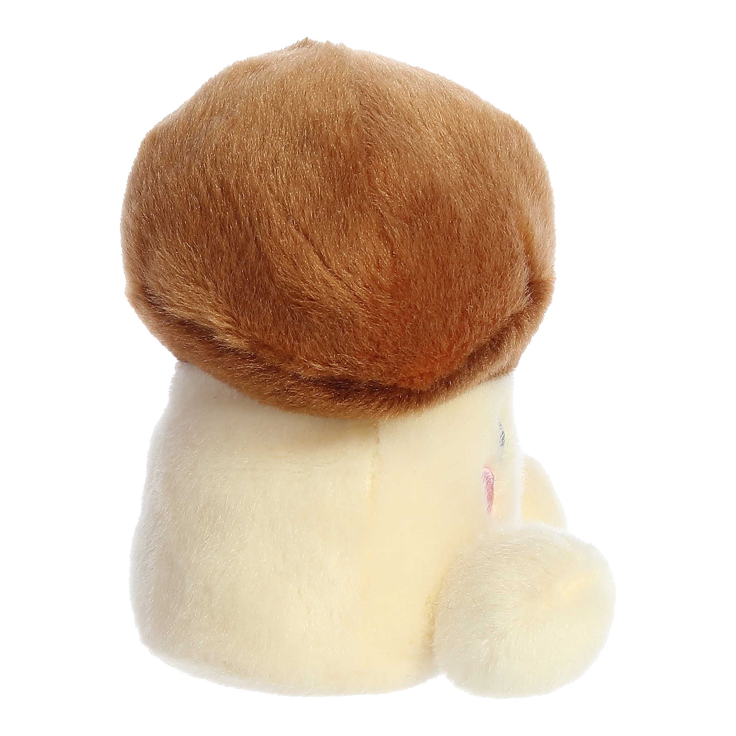 Umami Shiitake Mushroom Palm Pal