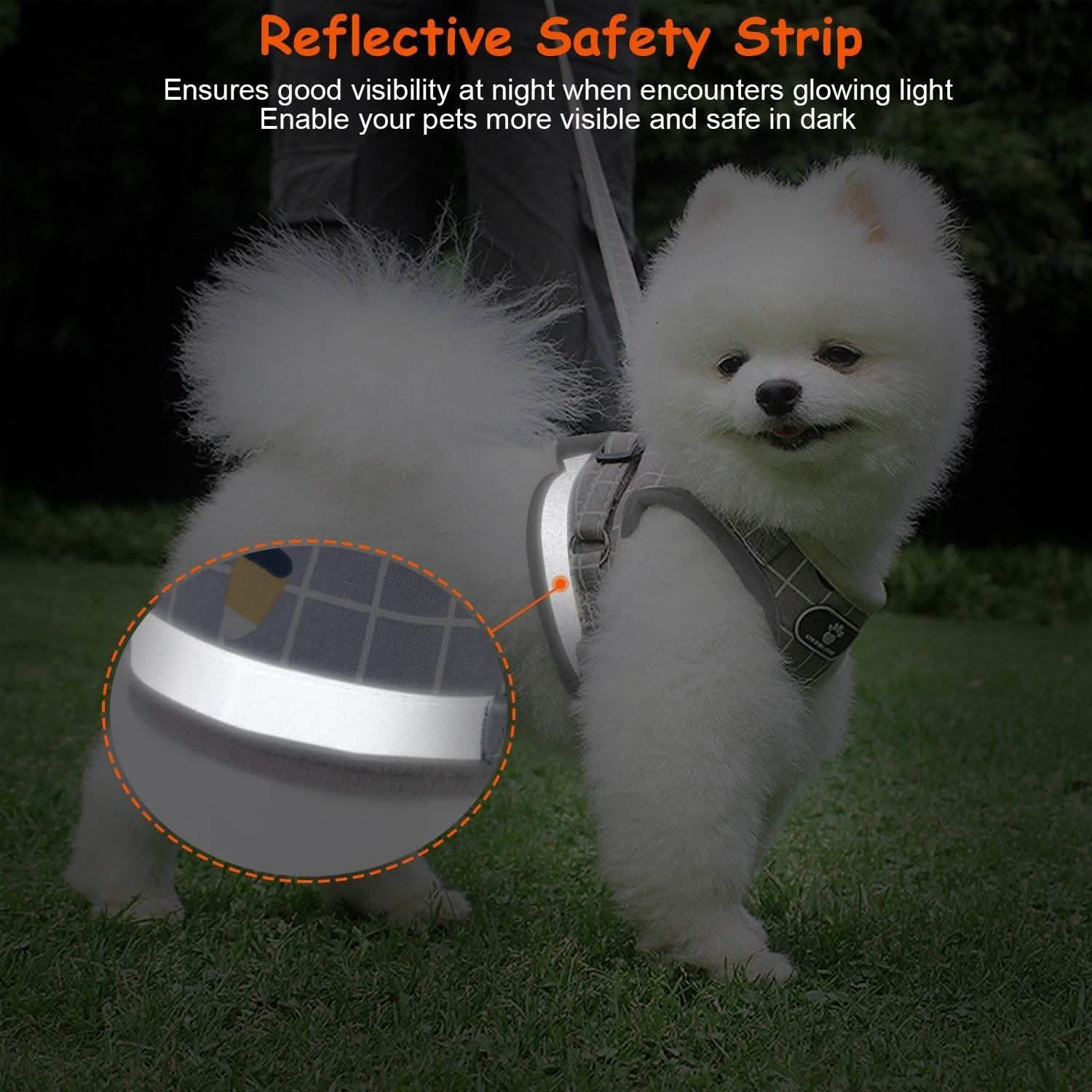 Pet Mesh Harness Dog Leash Puppy Vest