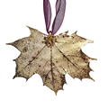 Gold Sugar Maple Leaf with Sheer Ribbon Ornament