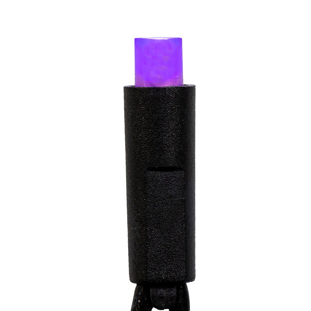 50-Light Purple Frost LED Black Wire Light Set