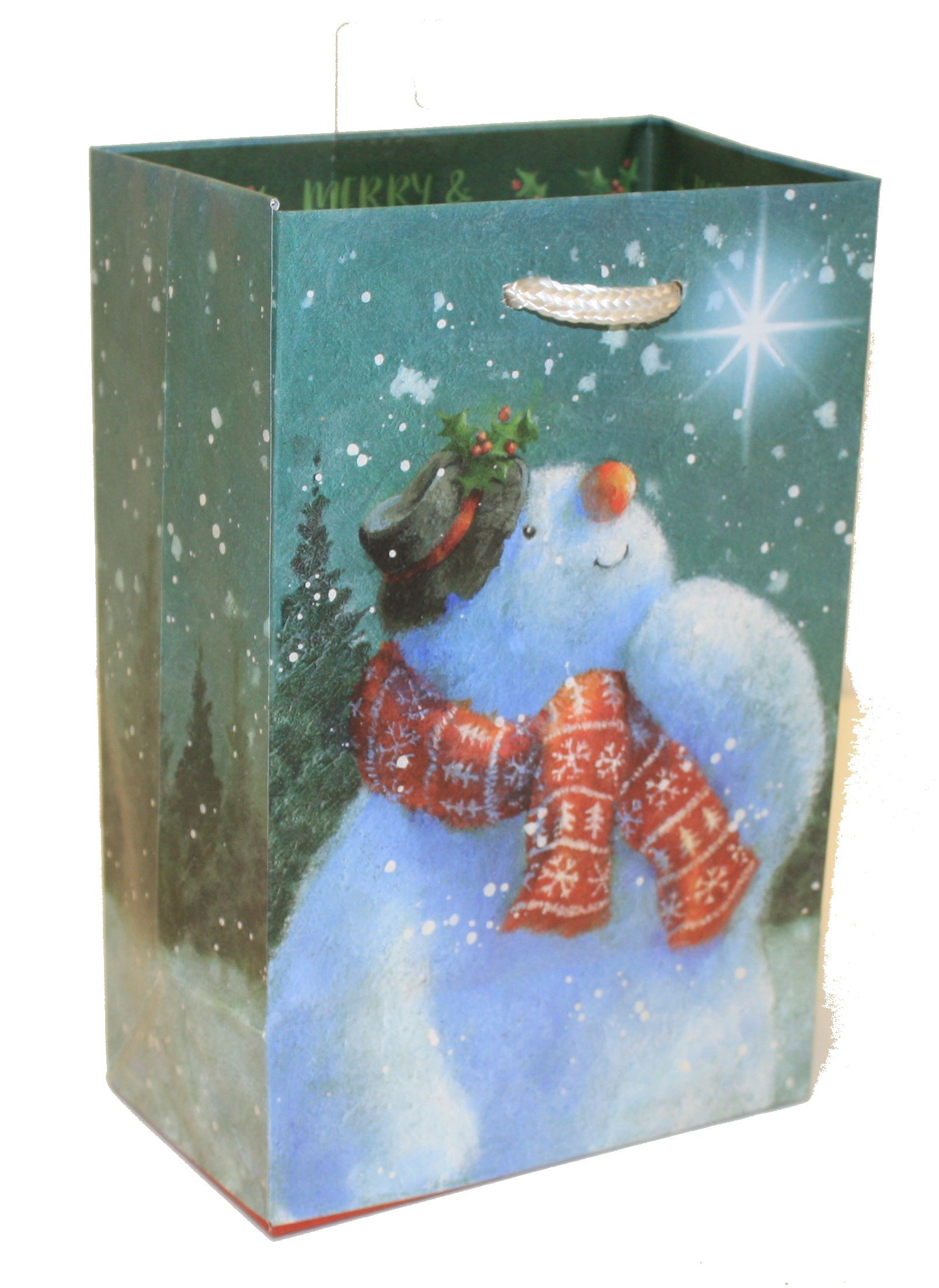Cub Country Gift Bag - Jack Frost