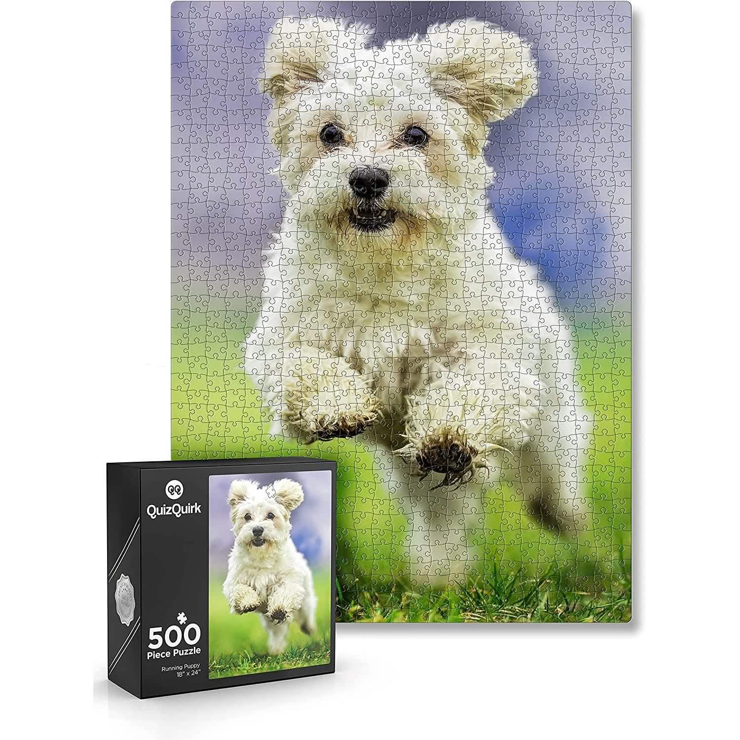 Puzzle with Puzzle Saver Kit