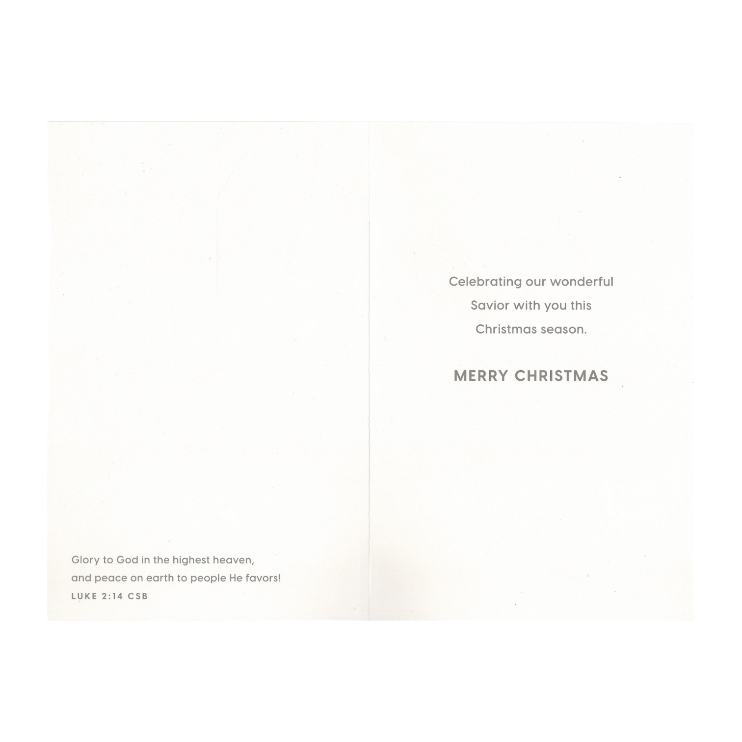 Tony Evans - Christ is the Meaning - 18 Cards