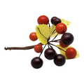 Grape Cluster - 5 Inch - Purple and Red