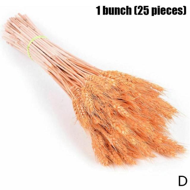 Real Dried Grass Reed Flower Natural Dry Small Bulrush Bouquet Pampas Reeds Home Decoration Wedding Decor Pompass Grass Branches for Vase Artificial Grass Room Décor Wedding Decorations