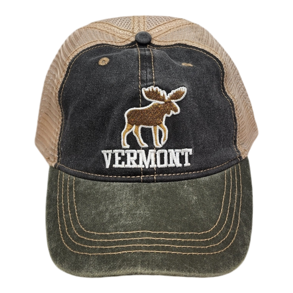 Two Tone Cap Vermont Moose - Green/Blue